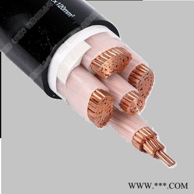 津達(dá)線纜 銅芯電纜 耐火電纜 天津電纜 電纜 國(guó)標(biāo)電纜 YJV3*70+2*35 阻燃電纜 低壓電纜 電力電纜