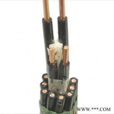控制電纜  ZB-KYJV32  計算機(jī)電纜 補(bǔ)償電纜 扁電纜