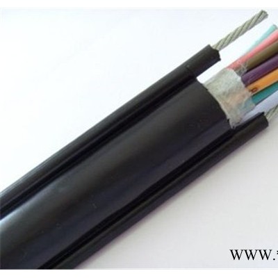 電動(dòng)葫蘆手柄電纜  電動(dòng)葫蘆手柄控制電纜  控制電纜  耐高溫控制電纜  絕緣控制電纜