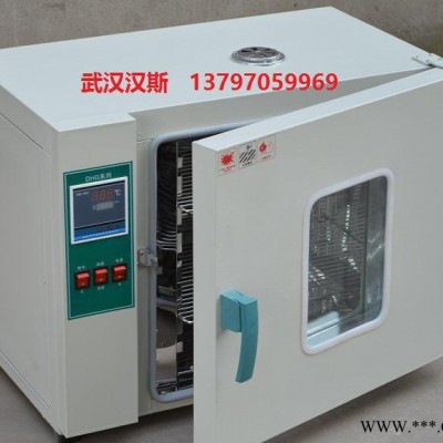 B小型烘干爐，實(shí)驗(yàn)室小型烘干爐，工業(yè)小型烘干爐，小型烘干爐