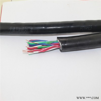 【天聯(lián)電纜】PTYL23-12*1.0鐵路電纜鐵路控制信號電纜鎧裝通信電纜廠家報價