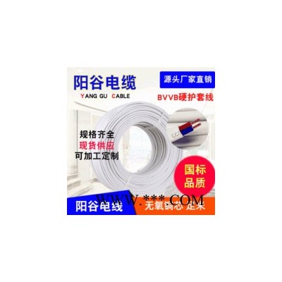 陽谷電纜廠YJV4*50+1*25平方電力電纜國標(biāo)阻燃純銅芯電纜