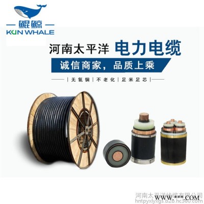 電力電纜廠 電力電纜公司 電纜生產(chǎn)商-河南太平洋線纜
