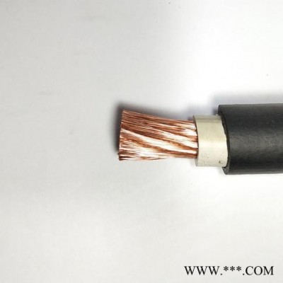 上之電線電纜  1*6 高性價(jià)比 電纜