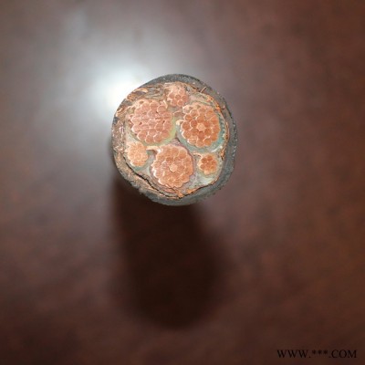 【天聯(lián)品牌】YCP8*6橡膠屏蔽電纜國(guó)標(biāo)電纜