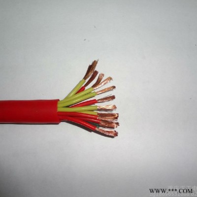 硅橡膠電纜YGG  電線電纜 硅膠電纜廠家 現(xiàn)貨供應(yīng)