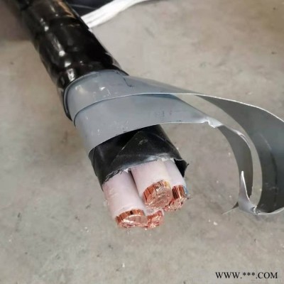 高低壓電纜 低壓電纜廠家 低壓電纜報(bào)價(jià)