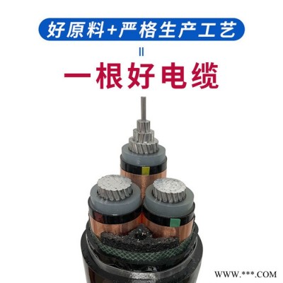 偉鵬 工程電纜電線   電線電纜  無氧銅芯電纜 廠家供應(yīng)