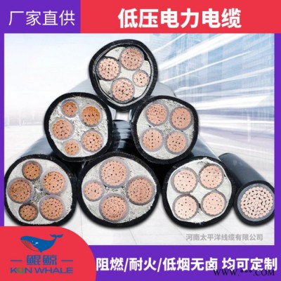 銅芯低壓電纜 鎧裝電力電纜 直埋電纜 廠家批發(fā)價(jià)格