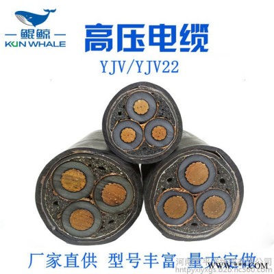 高壓電力電纜 高壓電纜價格 高壓電力電纜廠家