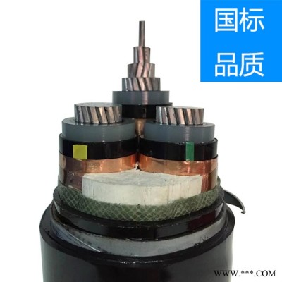 高壓電纜-YJV22-鋁合金電纜型號(hào)-架空線廠家-電力電纜現(xiàn)貨 630高壓電纜