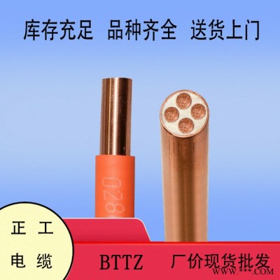 國(guó)標(biāo)品質(zhì) 防火礦物絕緣電纜  BTTZ 4X10 防火電纜 電線電纜 絕緣