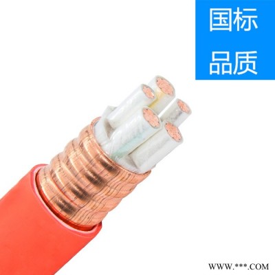 BTLY防火電纜 -正工 -防火電纜現(xiàn)貨_防火終端工廠定制