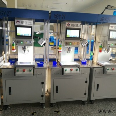 東莞市鑫廣源 XGC-2T 伺服壓力機，伺服壓裝機生產(chǎn)廠家
