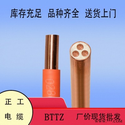 工程應(yīng)急用電纜   BTTZ 3X16 防火電纜 電線電纜 ** 足米