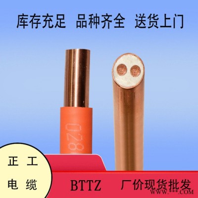 國標足米 低煙無鹵防火電纜   BTTZ 2X2.5 防火電纜 電線電纜 **
