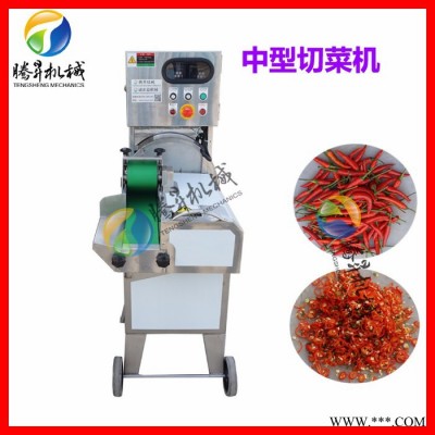 廣東騰昇機(jī)械廠自主研發(fā)凈菜加工流水線  蔬菜加工設(shè)備 多類蔬菜切割清洗加工全套設(shè)備 加工設(shè)備視頻 果蔬切割生產(chǎn)線