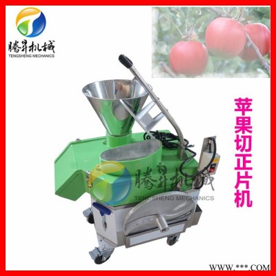 廠家**濕式凈菜加工生產(chǎn)線 直立式番茄果蔬切丁機(jī)設(shè)備 騰昇果蔬加工設(shè)備