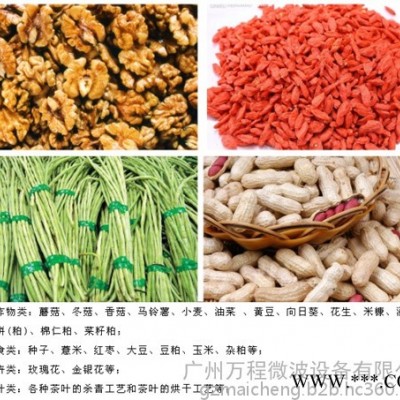 廣州萬程微波設備CNWB蔬菜加工設備  化工設備