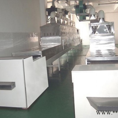 萬程微波CNWB系列調(diào)味品加工設備廠家