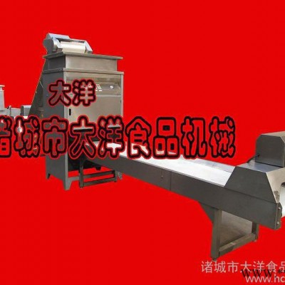 高品質(zhì)大蒜加工設(shè)備，大蒜加工生產(chǎn)線—大洋
