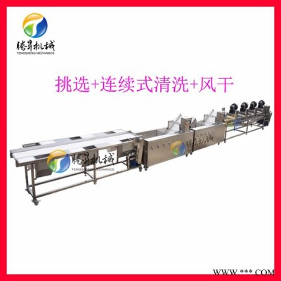 廣東騰昇廠家果蔬成套加工設(shè)備 大型自動果蔬加工全套設(shè)備廠家 定制款