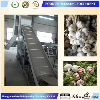 現(xiàn)代龍F(tuán)XJ 蒜風(fēng)選機(jī)，食品加工機(jī)械設(shè)備，蔬菜加工設(shè)備