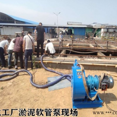 腐蝕性液體輸送泵 油脂工業(yè)蠕動泵 油料軟管蠕動泵
