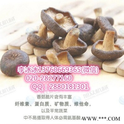 旭眾ZK-500菇脆加工油炸機(jī) 香菇種植基地加工設(shè)備 食用菌加工設(shè)備