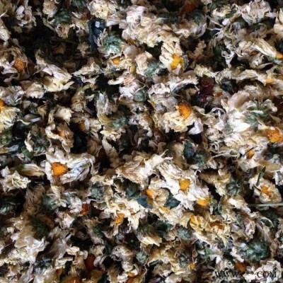 供應帶式干燥設(shè)備  慶華菊花加工設(shè)備  菊花烘干設(shè)備 菊花烘干機