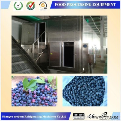 **】藍莓速凍機，流態(tài)化速凍機設備，食品速凍機械設備 冷凍食品加工設備