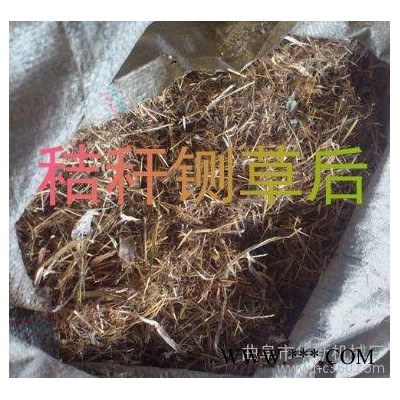 小型秸稈揉搓機產(chǎn)量-青貯飼料揉搓機參數(shù)-青飼料加工設(shè)備