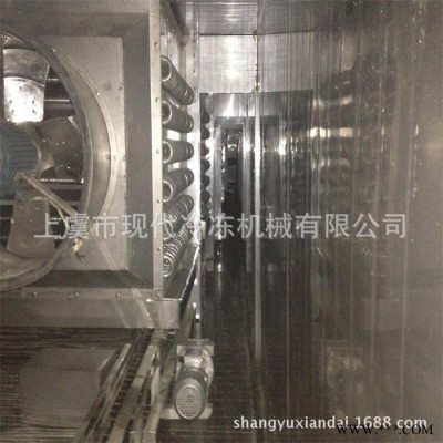 供應(yīng)隧道式速凍機 食品加工機械設(shè)備 冷凍隧道