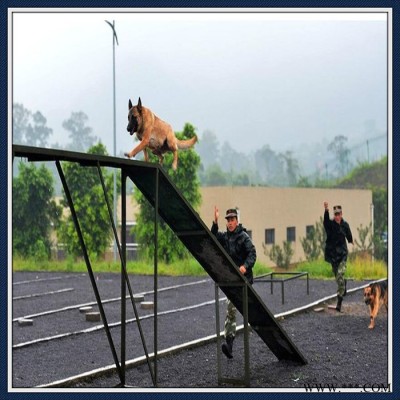 生產(chǎn)加工 訓(xùn)犬障礙設(shè)備 軍犬訓(xùn)練器械 跳高架