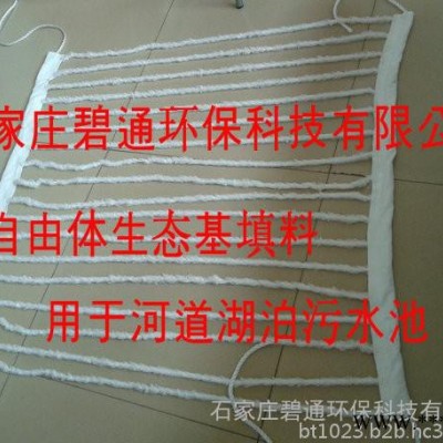 碧通環(huán)保設(shè)備加工 自由體生態(tài)基填料 生態(tài)浮島填料生態(tài)螺旋填料