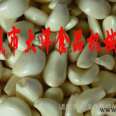 供應大蒜加工流水線/大蒜加工設備/