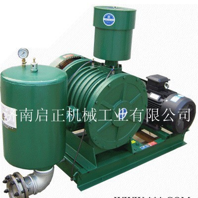 定制加工回旋式風(fēng)機(jī) 回轉(zhuǎn)風(fēng)機(jī) 鼓風(fēng)機(jī)濟(jì)南啟正供應(yīng)