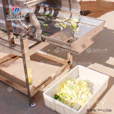 騰昇TS-ZD15 全自動(dòng)蔬菜水果風(fēng)干機(jī)食品加工設(shè)備