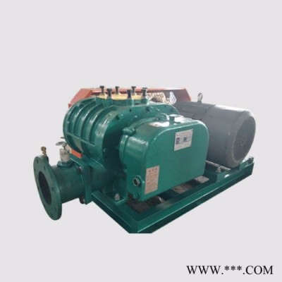 低噪音羅茨風機 YGSR-300A羅茨風機  水產養(yǎng)殖風機  羅茨風機報價