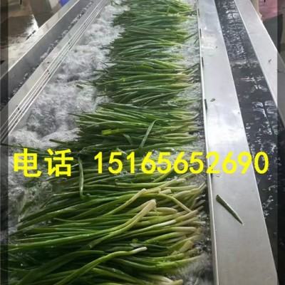 泡菜脫鹽清洗機(jī)、泡菜腌制菜清洗機(jī)、腌制菜蔬菜清洗設(shè)備 果蔬加工設(shè)備