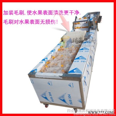 廣東騰昇機(jī)械廠家水果加工設(shè)備 水果清洗分級(jí)機(jī) 檸檬清洗機(jī) 山竹分級(jí)機(jī)價(jià)格
