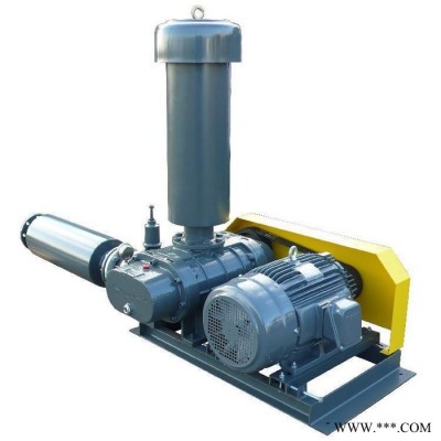 羅茨風(fēng)機(jī) 三葉羅茨鼓風(fēng)機(jī) 氣力輸送風(fēng)機(jī) 污水處理鼓風(fēng)機(jī)