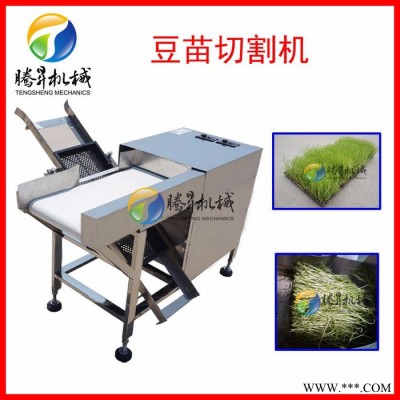 騰昇供應(yīng)豆芽加工設(shè)備 綠豆芽切割機(jī) 菜苗豆苗切段機(jī) 節(jié)省人工