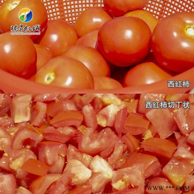 騰昇TS-Q112果蔬加工設(shè)備 臺(tái)灣自動(dòng)切菜機(jī)廠家 中央廚房切片機(jī)視頻 歡迎咨詢