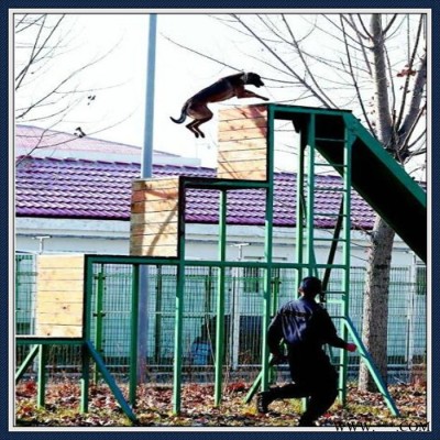 加工比賽警犬障礙器材,訓(xùn)犬障礙設(shè)備,搜救犬障礙器械,犬敏捷訓(xùn)練器材