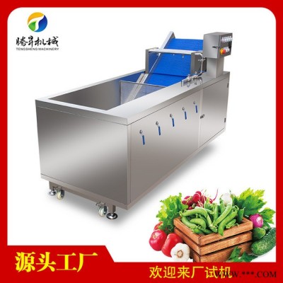 騰昇TS-X200中型洗菜機(jī) 自動(dòng)翻轉(zhuǎn)洗菜機(jī) 白菜洗菜機(jī)廠家 食品加工設(shè)備