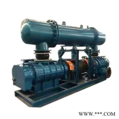 大型鼓風(fēng)機(jī) YGSR-300雙機(jī)串聯(lián)型風(fēng)機(jī) 高壓風(fēng)機(jī)