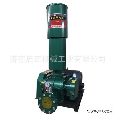 啟正CCR 環(huán)保羅茨風機 化工用羅茨鼓風機 除灰用羅茨鼓風機 冶煉用羅茨風機