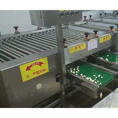 【支持定制】食品加工設(shè)備出口蒜米分三級挑選機(jī)分級機(jī)滾杠式
