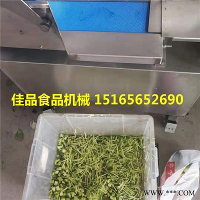韭菜大蔥切段切片機(jī) 香菜酸菜切絲機(jī)切段機(jī) 蔬菜加工設(shè)備